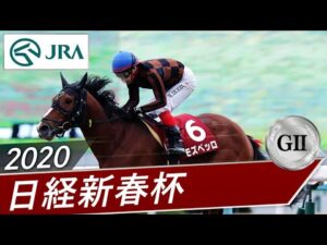 2020年 日経新春杯（GⅡ） | モズベッロ | JRA公式