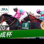 2020年 京成杯(GⅢ) | クリスタルブラック | JRA公式