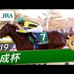 2019年 京成杯(GⅢ) | ラストドラフト | JRA公式