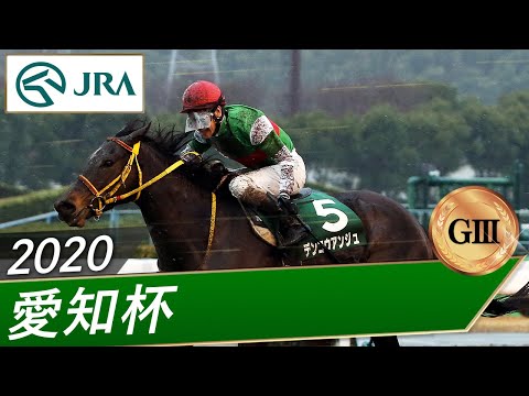 2020年 愛知杯（GⅢ） | デンコウアンジュ | JRA公式