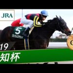 2019年 愛知杯(GⅢ) | ワンブレスアウェイ | JRA公式