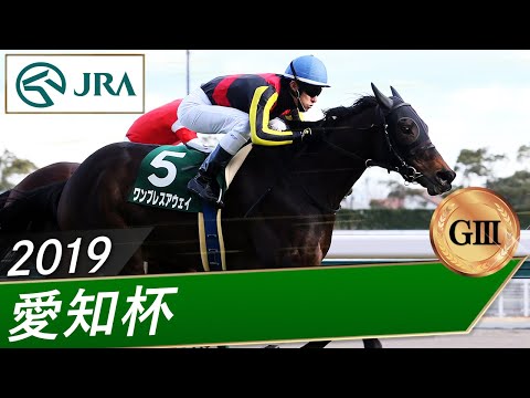 2019年 愛知杯（GⅢ） | ワンブレスアウェイ | JRA公式