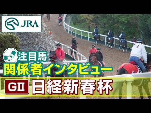 【注目馬 関係者インタビュー】2024年 日経新春杯｜JRA公式