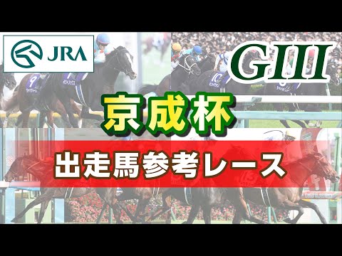 【参考レース】2024年 京成杯｜JRA公式