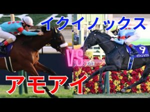 【競馬】アーモンドアイVSイクイノックスどっちが勝つと思う？【ネットの反応】