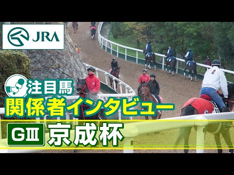 【注目馬 関係者インタビュー】2024年 京成杯｜JRA公式