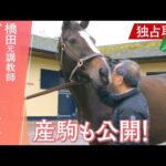 【スペシャル企画】初仔&2番目の仔の超貴重映像も!お母さんになったディアドラと橋田満元調教師が再会!