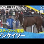 《2024年 新馬》岩田望来騎手「言うことなしです」ダノンケイツーが快勝! 1月13日(土)京都ダート1800m 実況:川島壮雄【カンテレ公式】