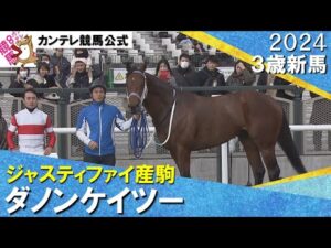 《2024年 新馬》岩田望来騎手「言うことなしです」ダノンケイツーが快勝！　1月13日(土)京都ダート1800ｍ　実況：川島壮雄【カンテレ公式】
