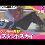 《2024年 新馬》武豊騎手「能力はかなりある」ディスタントスカイが断然人気に応えてV! 1月14日(日)京都ダート1400m 実況:川島壮雄【カンテレ公式】