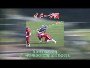 【競馬】サンデーサイレンスの産駒について語ろう