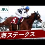 2019年 東海ステークス(GⅡ) | インティ | JRA公式