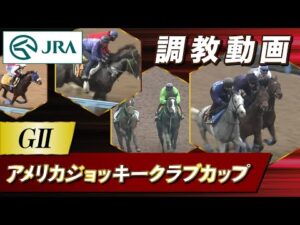 【調教動画】2024年 アメリカジョッキークラブカップ｜JRA公式