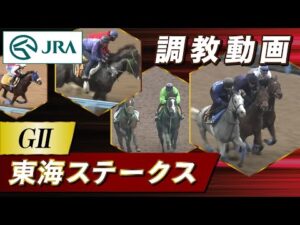 【調教動画】2024年 東海ステークス｜JRA公式