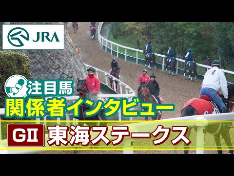【注目馬 関係者インタビュー】2024年 東海ステークス｜JRA公式