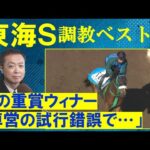 【「身のこなしが柔らかい」人気を集めるオメガギネスは!?】競馬エイト・高橋賢司トラックマンの調教解説<東海ステークス(GⅡ)>