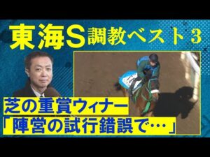 【「身のこなしが柔らかい」人気を集めるオメガギネスは！？】競馬エイト・高橋賢司トラックマンの調教解説＜東海ステークス(ＧⅡ)＞