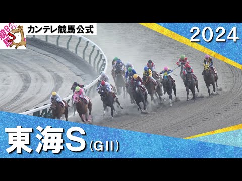 2024年 東海ステークス(ＧⅡ) 　実況：川島壮雄【カンテレ公式】