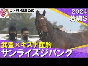 【サンライズジパングが完勝！】2024年 若駒ステークス(L)　実況：川島壮雄【カンテレ公式】