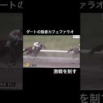 ダート界の強者カフェファラオが危なげなく勝利!