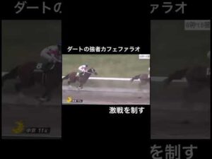 ダート界の強者カフェファラオが危なげなく勝利！