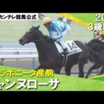 《2024年 新馬》父イスラボニータ騎乗で皐月賞勝ちの蛯名調教師「フットワークや姿形似ている」ジャンヌローサが逃げ切りデビュー勝ち! 1月21日(日)京都芝1600m 実況:石田一洋【カンテレ公式】