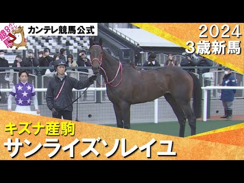 《2024年 新馬》川田騎手「もっと良くなってくれる馬だと思います」１番人気サンライズソレイユが快勝！　1月21日(日)京都ダート1800ｍ　実況：川島壮雄【カンテレ公式】