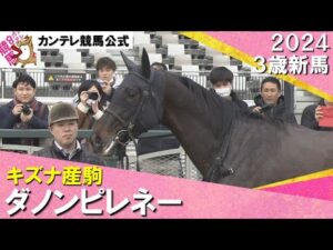 《2024年 新馬》坂井騎手「返し馬から雰囲気が良かった」ダノンピレネーが競り合いを制す！　1月20日(土)京都芝2000ｍ　実況：川島壮雄【カンテレ公式】