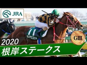 2020年 根岸ステークス（GⅢ） | モズアスコット | JRA公式