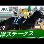 2019年 根岸ステークス(GⅢ) | コパノキッキング | JRA公式