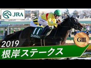 2019年 根岸ステークス（GⅢ） | コパノキッキング | JRA公式