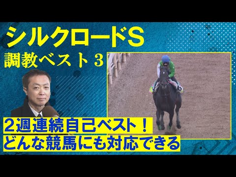 【重賞馬アグリを抑えて堂々の第１位は！？】競馬エイト・高橋賢司トラックマンの調教解説＜シルクロードステークス(ＧⅢ)＞