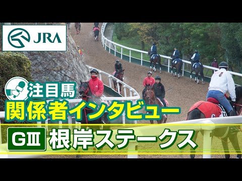 【注目馬 関係者インタビュー】2024年 根岸ステークス｜JRA公式