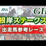 【参考レース】2024年 根岸ステークス|JRA公式