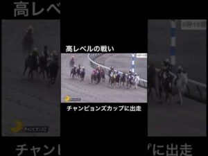 激戦のチャンピョンズカップに出走したカフェファラオ