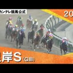2024年 根岸ステークス(GⅢ) 【カンテレ公式】