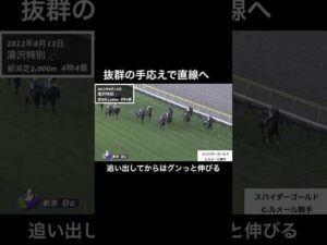 抜群の手応えからスパイダーゴールドとルメール騎手