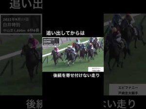 追い出してからは後続を寄せ付けない走りを披露