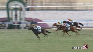 ウォーターリヒト買えたやつ