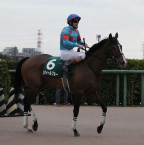 【フェアリーS】1番人気スティールブルー･ルメールwwwww