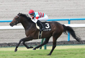 【競馬予想】第64回京成杯(GIII) /2024