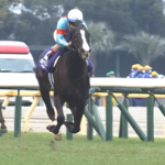 イクイノックス、ジャパンCは135ポンド