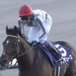 それでは90年以降でダービーと有馬記念を勝った馬をご覧ください