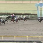 【競馬】根岸Sは川田騎乗のエンペラーワケアがV