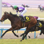 【若駒S】サンライズジパングが最後方から豪快に差し切って快勝!