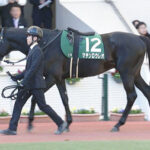 マテンロウレオ横山典「何度も不利を受けてしまい、あれではレースにならなかった」