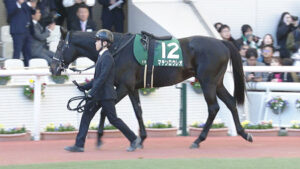 マテンロウレオ横山典「何度も不利を受けてしまい、あれではレースにならなかった」