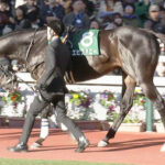 【競馬予想】第73回中山金杯(GⅢ) /2024