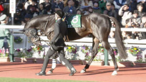 【競馬予想】第73回中山金杯(GⅢ) /2024