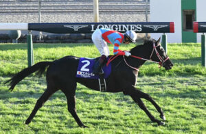 アーモンドアイVSイクイノックス